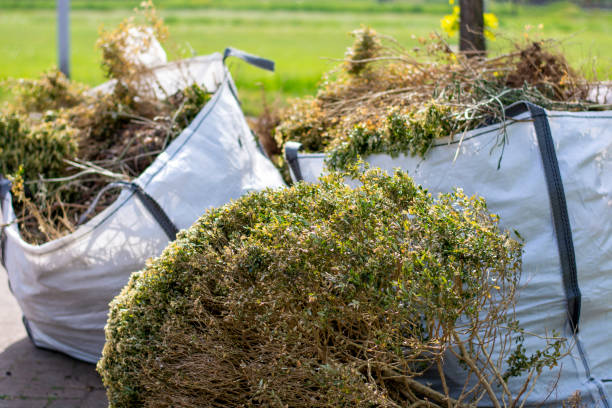 Best Office Junk Removal  in Rutherfordton, NC
